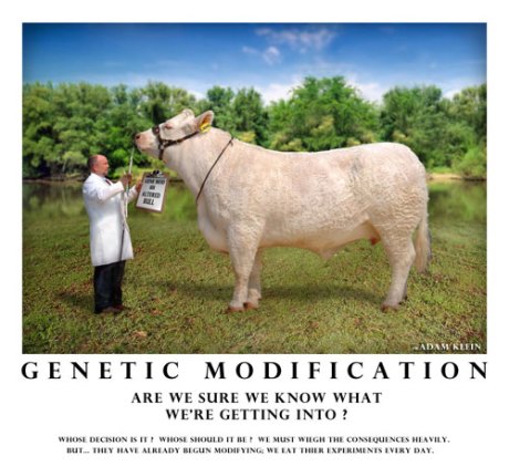 Genetic-Modification-PSA